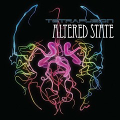 Collage of the Present (2010)