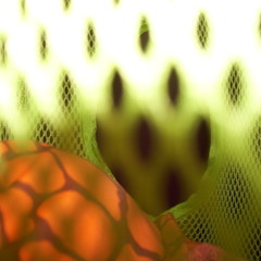 Mindtrap(2 demo)