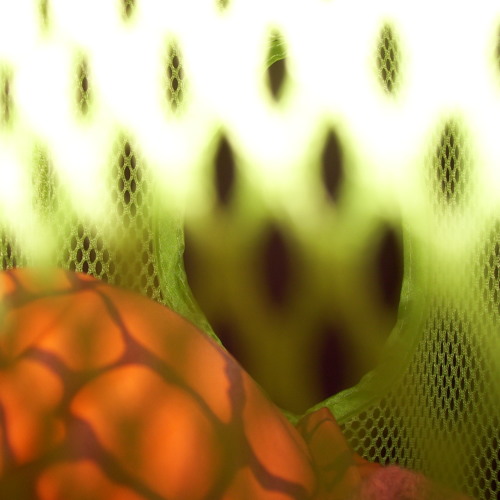 Mindtrap(2 demo)
