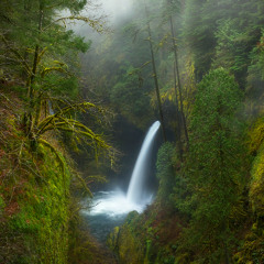 Visual Noize - Rainforst [Low Quality]