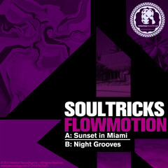 Sunset in Miami / Flowmotion EP