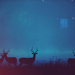 Soul Keita + Nicolas Jaar - Goin