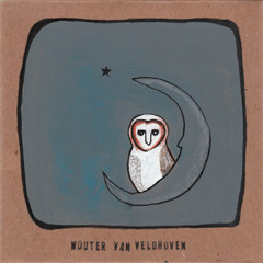 wouter van veldhoven - stukke rust