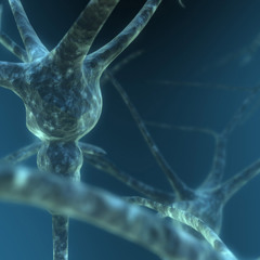 MrDUBandBASS' Tutorial Into Gene Splicing and Brain Dicing