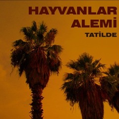 Hayvanlar Alemi - Crossroad Metamorphosis