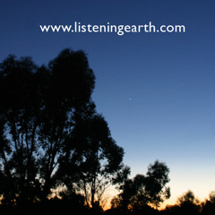Australian bush summer dawn chorus