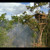 Artwork for Korowai treehouse - bbc human planet