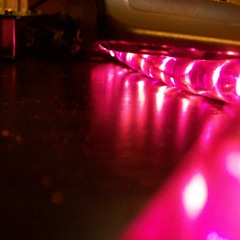 Ghosts in the Circuitry