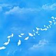 Back to NORMAL - Falling deep