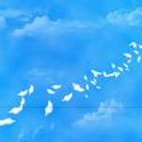 Back to NORMAL - Falling deep