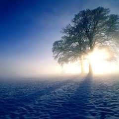 Winter Mist (Suduaya ambient mix)