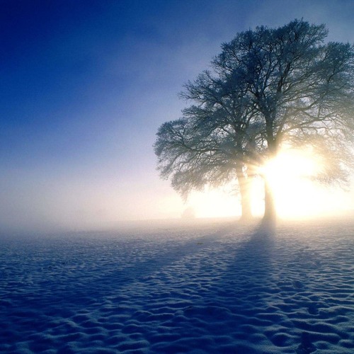 Winter Mist (Suduaya ambient mix)