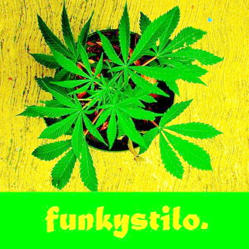 Enemigos publicos 3xfunk, Babuino, Kasco, Bejofunk 2007