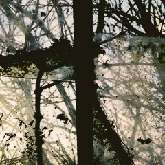 The great dominions (Teardrop Explodes cover)(featuring Lotta Allard)