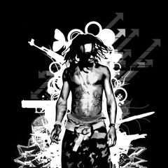 A Milli Remix (Lil' Wayne vs. Bassnectar)
