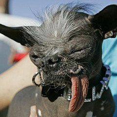 The Catch Feb11 Mixtape