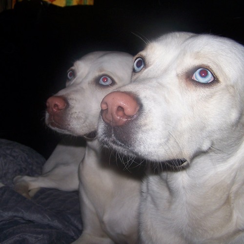 Mix ThErMoCoRe AliaS DoPaTeK BaD VySyOn