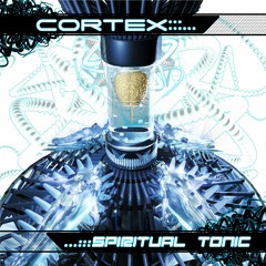 Gms VS Karan - Goan Mad (Antimatter Remix Party Version)