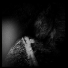 Dream Waves (In progress)