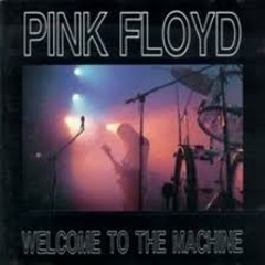 Pink Floyd - Welcome To The Machine - IDeaL & J-Break dubstep remix