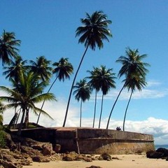 06 - De Minas pra Bahia