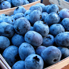 Blueberries