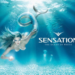 Sensation White 2008 Megamix - http://www.facebook.com/listen.the.music