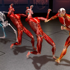 Lobster Nugget Fuckfest