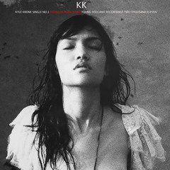 Hiding in Plain Sight - Kyle Krone