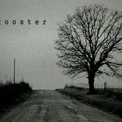 Alice in chains "Rooster" Cover