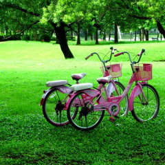 ไม่มีใครรู้