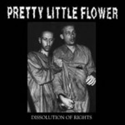 P.L.F. - fuck your patriotic pride