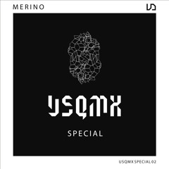 USQ Mix Special I 002 I Merino