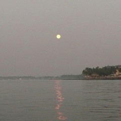 Jumping out the Window