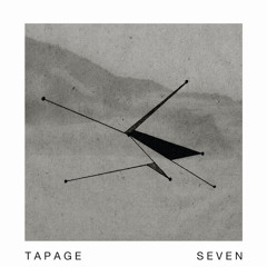 Tapage - two of seven (raum-net-13)