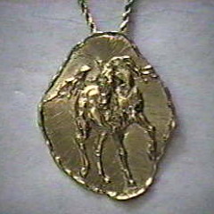 African Medallion Stallion