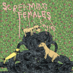 Screaming Females - Cortez the Killer