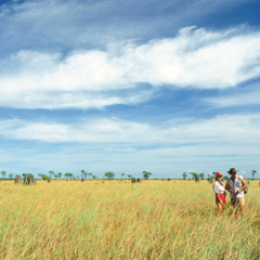 The Great Outdoors (Safari 8)