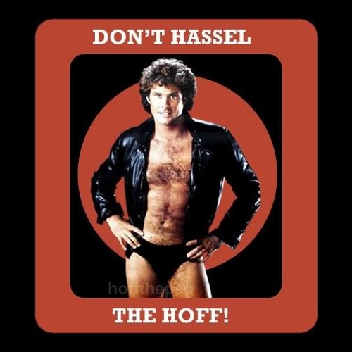 Never Hassel the Hoff