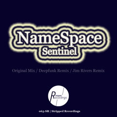 NameSpace - The Sentinel (Jim Rivers remix) PREVIEW