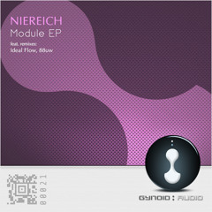 Niereich - Modul 1 (Ideal Flow Remix) [Gynoid Audio]