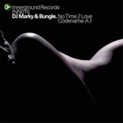 DJ Marky & Bungle - No Time 2 Love