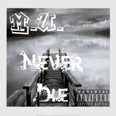 Never ever pretend