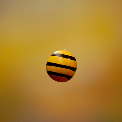 pseudonym - exist (free)