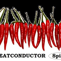 Beatconductor; Jibaro (from the Bionic Boogie EP Spicy Di002)