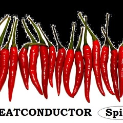 Beatconductor; Something Better (from the Bionic Boogie EP Spicy Di 002)