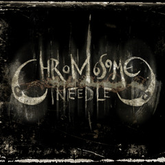 CHIMP REMIX - Supererogation (Chromosome Needle Remix)