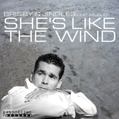 Brisby & Jingles - She's Like The Wind (Radio Edit)