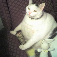 Heikousen - "Tax Fraud"