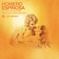 Homero Espinosa - In The Sunshine (Allen Craig Dub Mix)